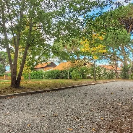 Charmante Maison Dans Les Landes X 10 Avec Piscine Et Salle D Escalade Prázdninový dům