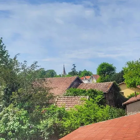 Charmante Maison Dans Les Landes X 10 Avec Piscine Et Salle D Escalade * Lue