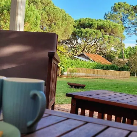 Charmante Maison Dans Les Landes X 10 Avec Piscine Et Salle D Escalade