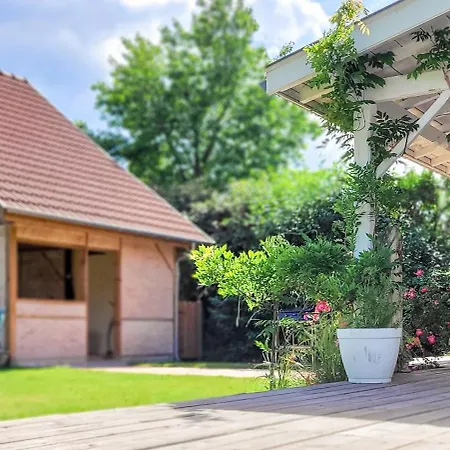 Grande Maison Dans Les Landes Pour 10 Pers Avec Piscine Et Salle Escalade Unique Feriehus Lue
