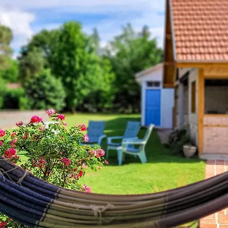 Grande Maison Dans Les Landes Pour 10 Pers Avec Piscine Et Salle Escalade Unique * Lue
