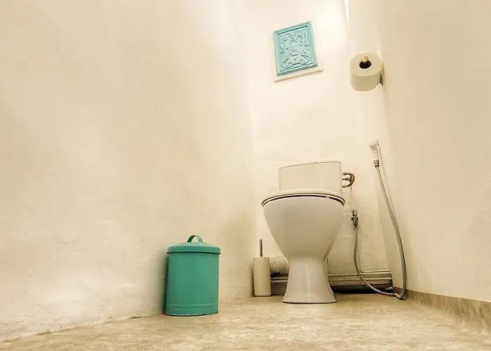 Charmante Maison Dans Les Landes X 10 Avec Piscine Et Salle D Escalade Tatil Evi *