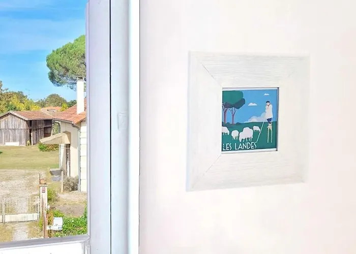 Tatil Evi Charmante Maison Dans Les Landes X 10 Avec Piscine Et Salle D Escalade